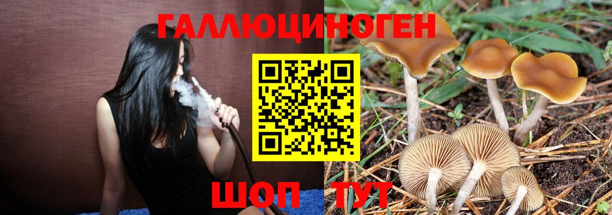 Псилоцибиновые грибы прущие грибы  сколько стоит  Тихвин  Вход с VPN  Галлюциногенные грибы Magic Shrooms 